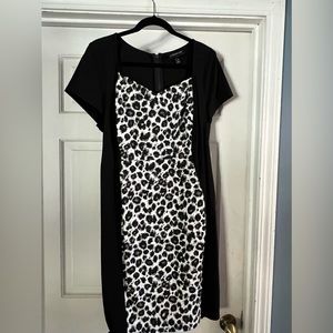 Animal Print Dress